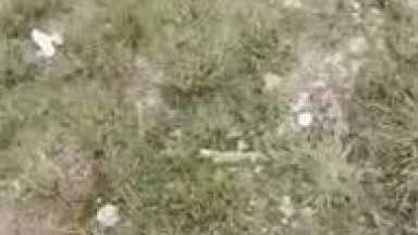 [Drama] Intense Outdoor Sex: Taking My Sister-in-Law for a Wild Car Sex Adventure, Full of Seductive Poses, Frenzied Fucking and Car Sex Inside